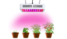 Lampe Horticole LED, Lampe De Croissance Pour Plantes D'Intérieur,  3000K/5000K/6 7445019690652