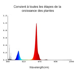 LED Horticole  Lampe de Croissance et Floraison - Guide Achat 2024