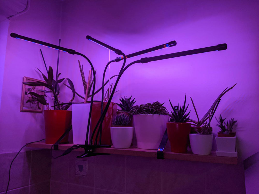 Lampe de Plante, Lumière LED Horticole à Spectre Complet à 360