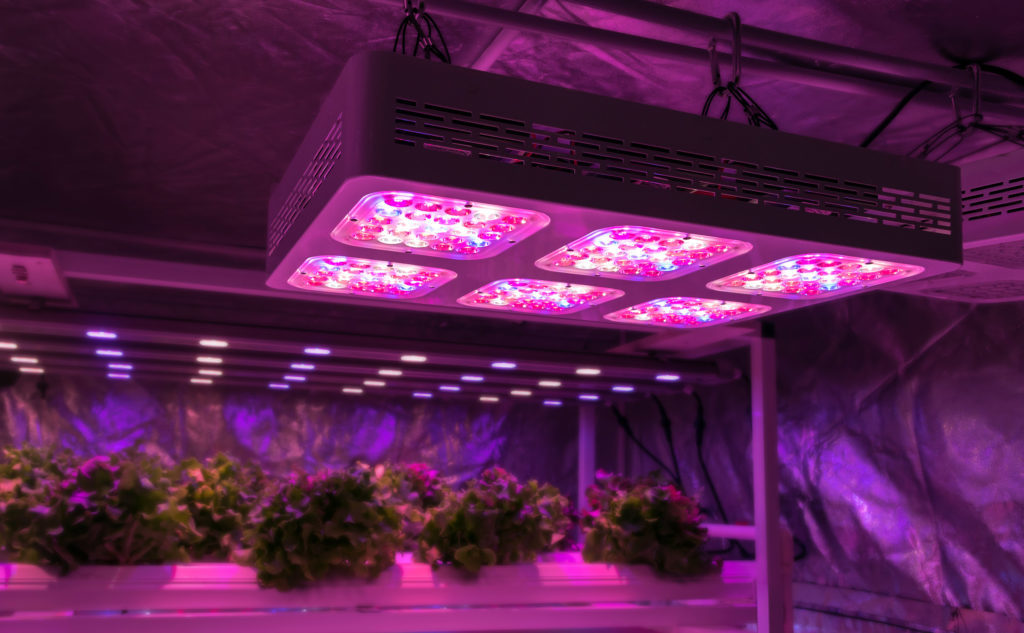 Lampe Horticole LED Croissance Floraison - Cultivez des Plantes Saines à  L'intérieur - Panneau LED Horticole - Lampe