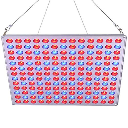 75w Lampe Horticole Roleadro Led de Croissance Floraison LED Grow Light pour Led Culture Indoor Plante Hydroponique éclairage Germination